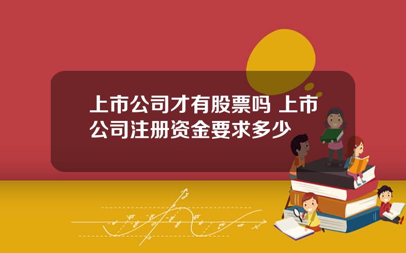 上市公司才有股票吗 上市公司注册资金要求多少